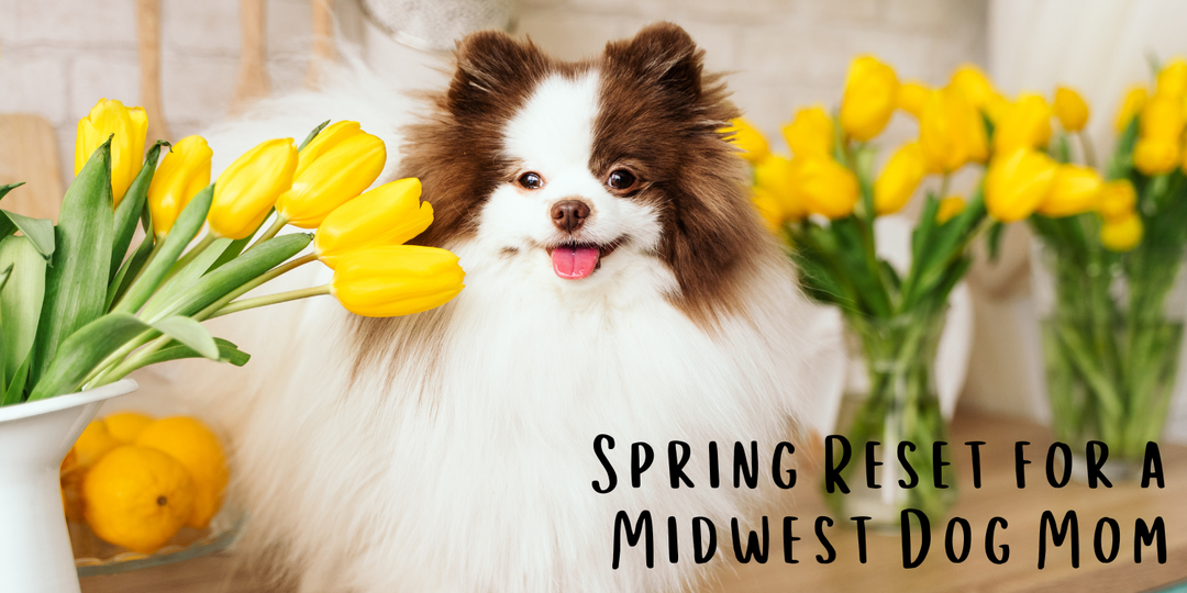 Spring Reset for a Midwest Dog Mom 🌸