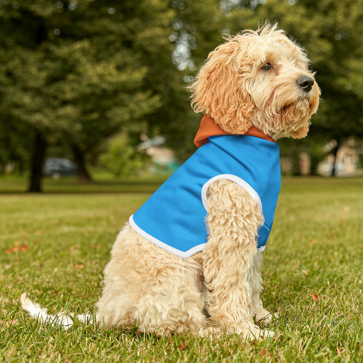 Bright Blue Color-Block Pet Hoodie